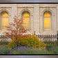 Salt Lake Autumn Detail
