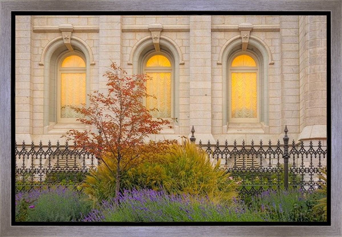 Salt Lake Autumn Detail Gallery Wrap