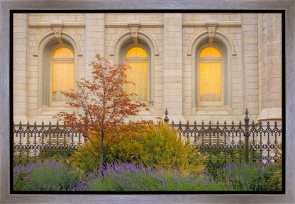 Salt Lake Autumn Detail