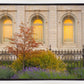 Salt Lake Autumn Detail