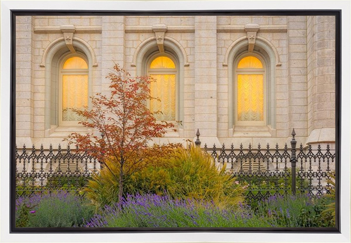 Salt Lake Autumn Detail Gallery Wrap
