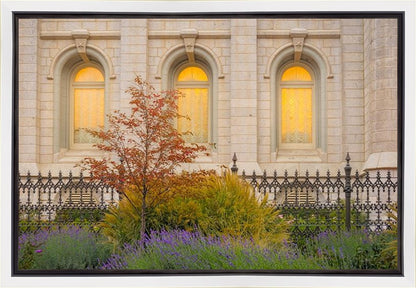 Salt Lake Autumn Detail