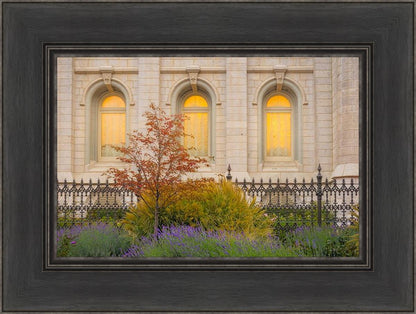 Salt Lake Autumn Detail