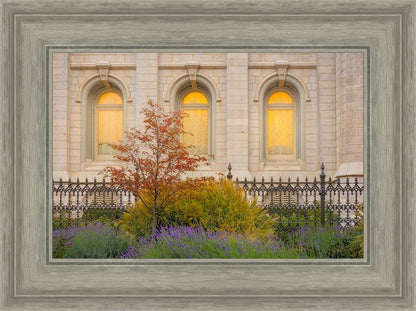 Salt Lake Autumn Detail