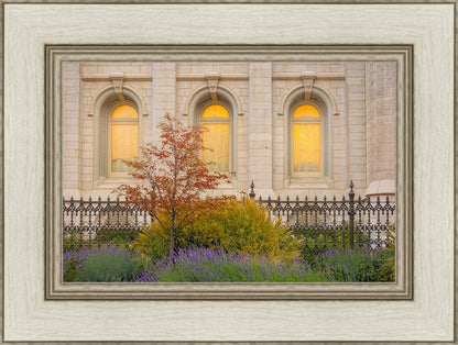 Salt Lake Autumn Detail