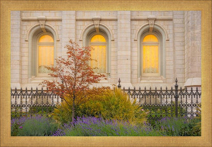 Salt Lake Autumn Detail