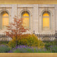 Salt Lake Autumn Detail