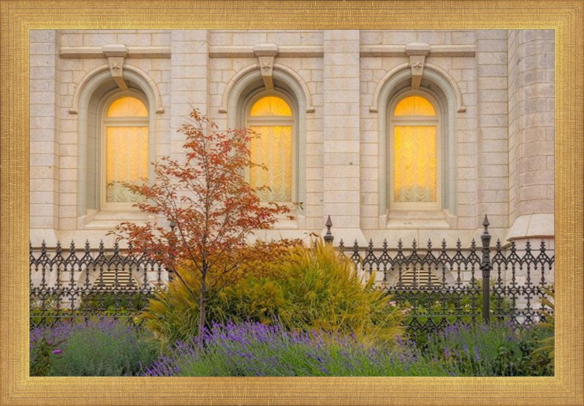 Salt Lake Autumn Detail