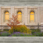 Salt Lake Autumn Detail
