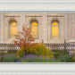 Salt Lake Autumn Detail