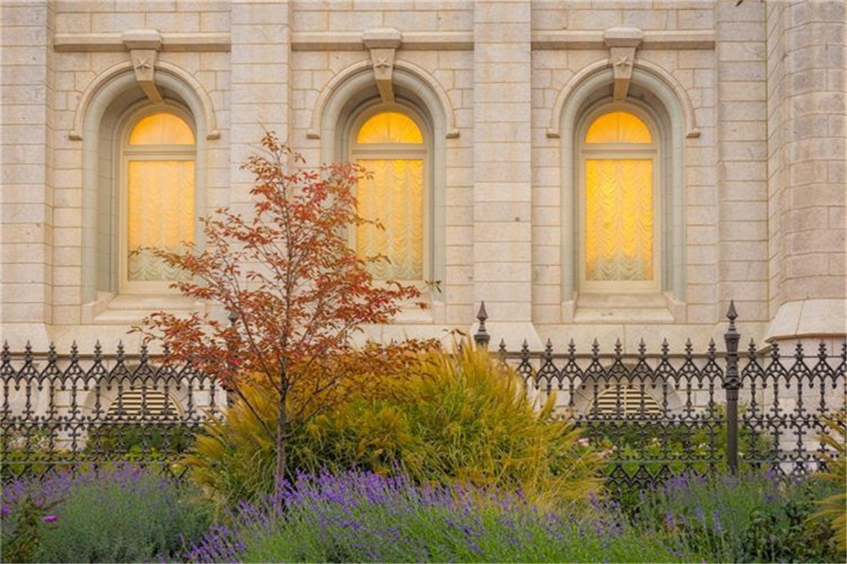 Salt Lake Autumn Detail Gallery Wrap