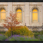 Salt Lake Autumn Detail