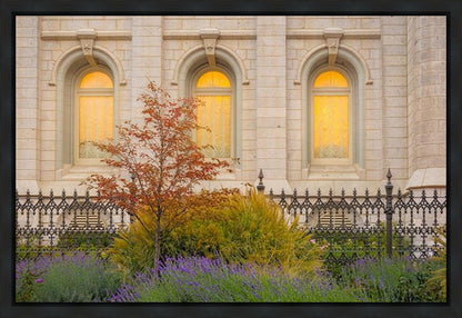 Salt Lake Autumn Detail