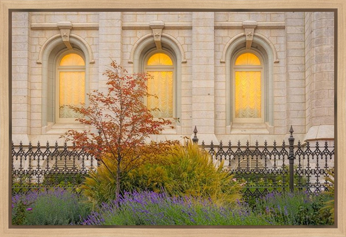 Salt Lake Autumn Detail Gallery Wrap
