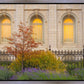 Salt Lake Autumn Detail