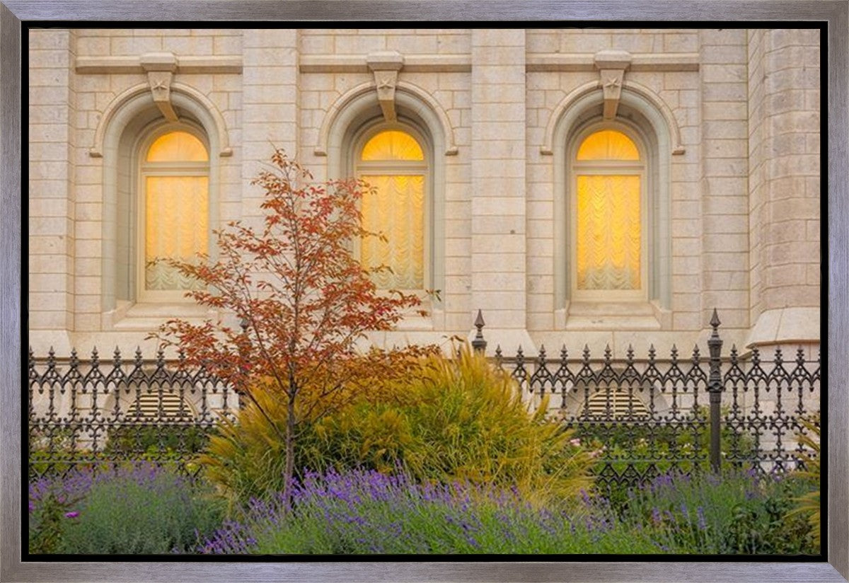 Salt Lake Autumn Detail Gallery Wrap