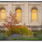 Salt Lake Autumn Detail