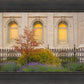 Salt Lake Autumn Detail