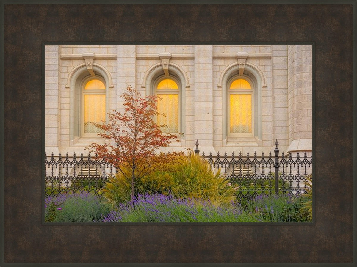 Salt Lake Autumn Detail