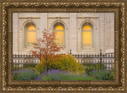 Salt Lake Autumn Detail