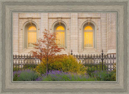 Salt Lake Autumn Detail