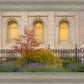 Salt Lake Autumn Detail
