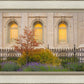Salt Lake Autumn Detail