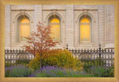 Salt Lake Autumn Detail