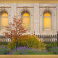 Salt Lake Autumn Detail