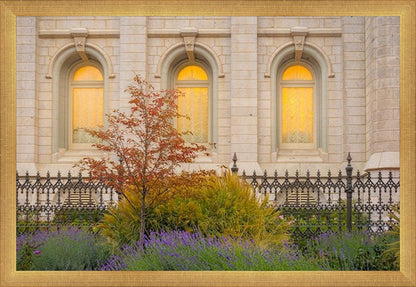 Salt Lake Autumn Detail