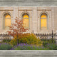 Salt Lake Autumn Detail