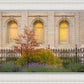 Salt Lake Autumn Detail