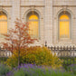 Salt Lake Autumn Detail