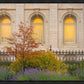 Salt Lake Autumn Detail