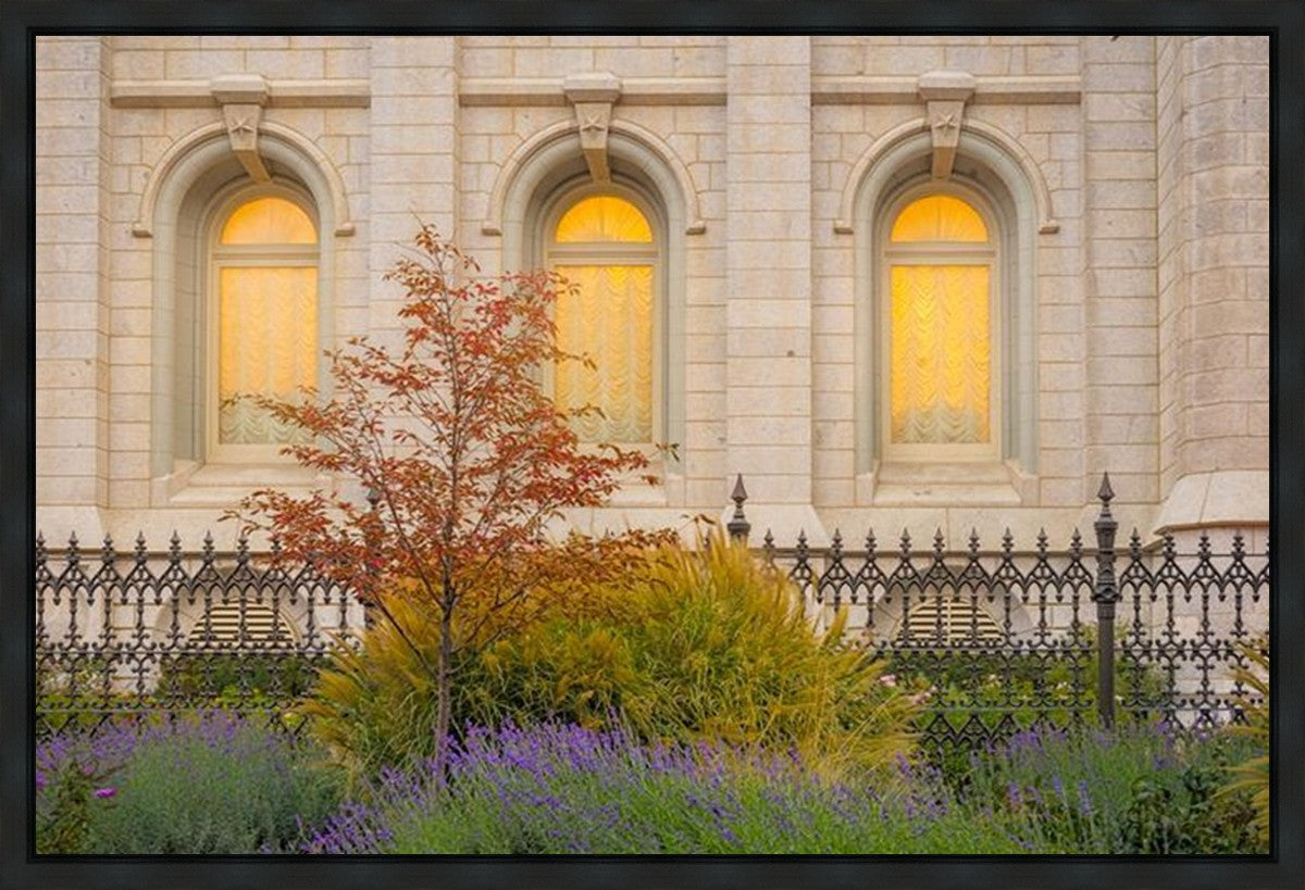 Salt Lake Autumn Detail Gallery Wrap
