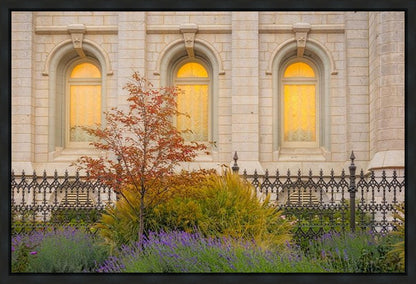 Salt Lake Autumn Detail