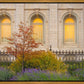 Salt Lake Autumn Detail