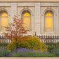 Salt Lake Autumn Detail