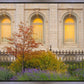Salt Lake Autumn Detail