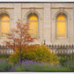 Salt Lake Autumn Detail