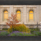 Salt Lake Autumn Detail