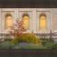 Salt Lake Autumn Detail