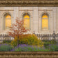 Salt Lake Autumn Detail