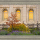 Salt Lake Autumn Detail