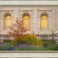 Salt Lake Autumn Detail