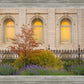 Salt Lake Autumn Detail