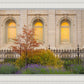 Salt Lake Autumn Detail