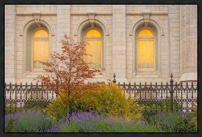 Salt Lake Autumn Detail