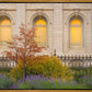 Salt Lake Autumn Detail