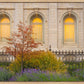 Salt Lake Autumn Detail
